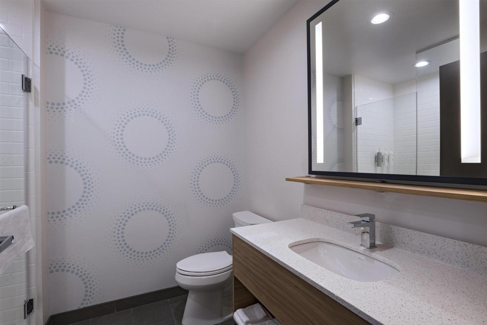 King Room with Walk-In Shower